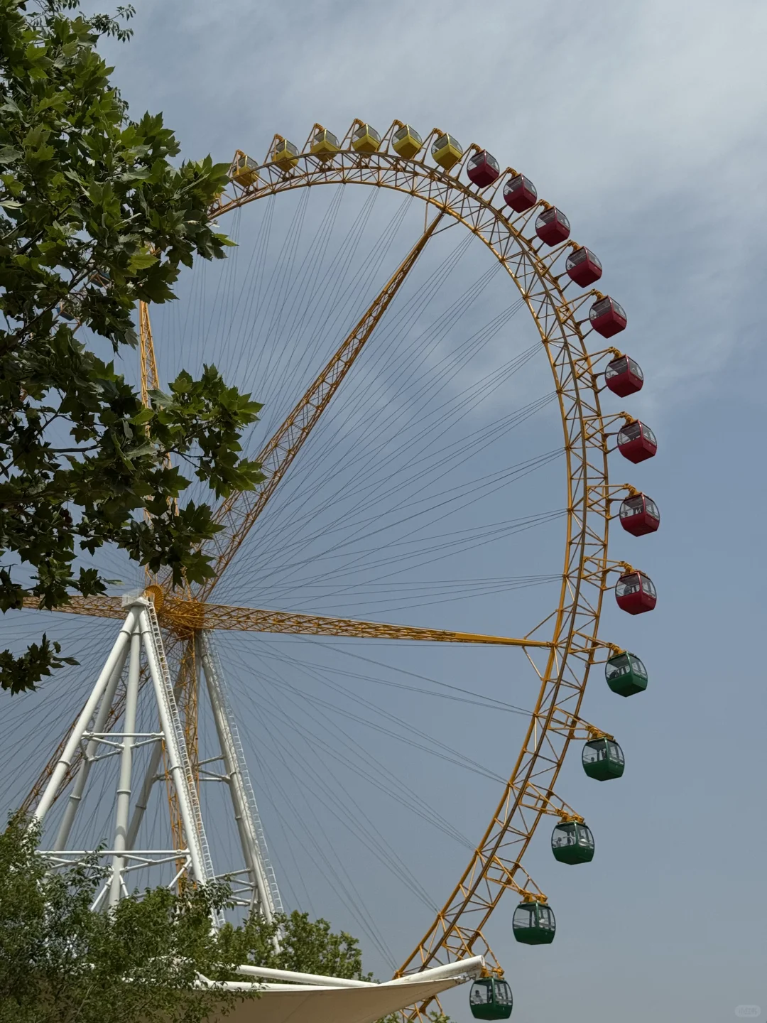 离开石家庄的后劲儿可真大！！！