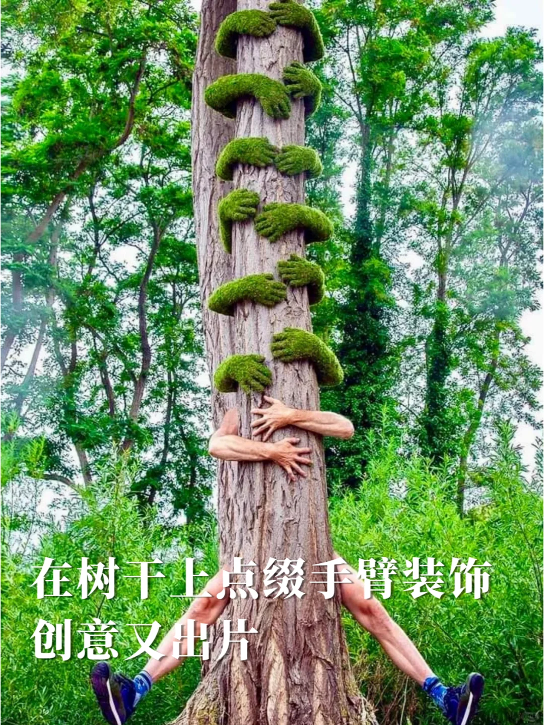 如果你有一棵树，怎么打造网红场景？