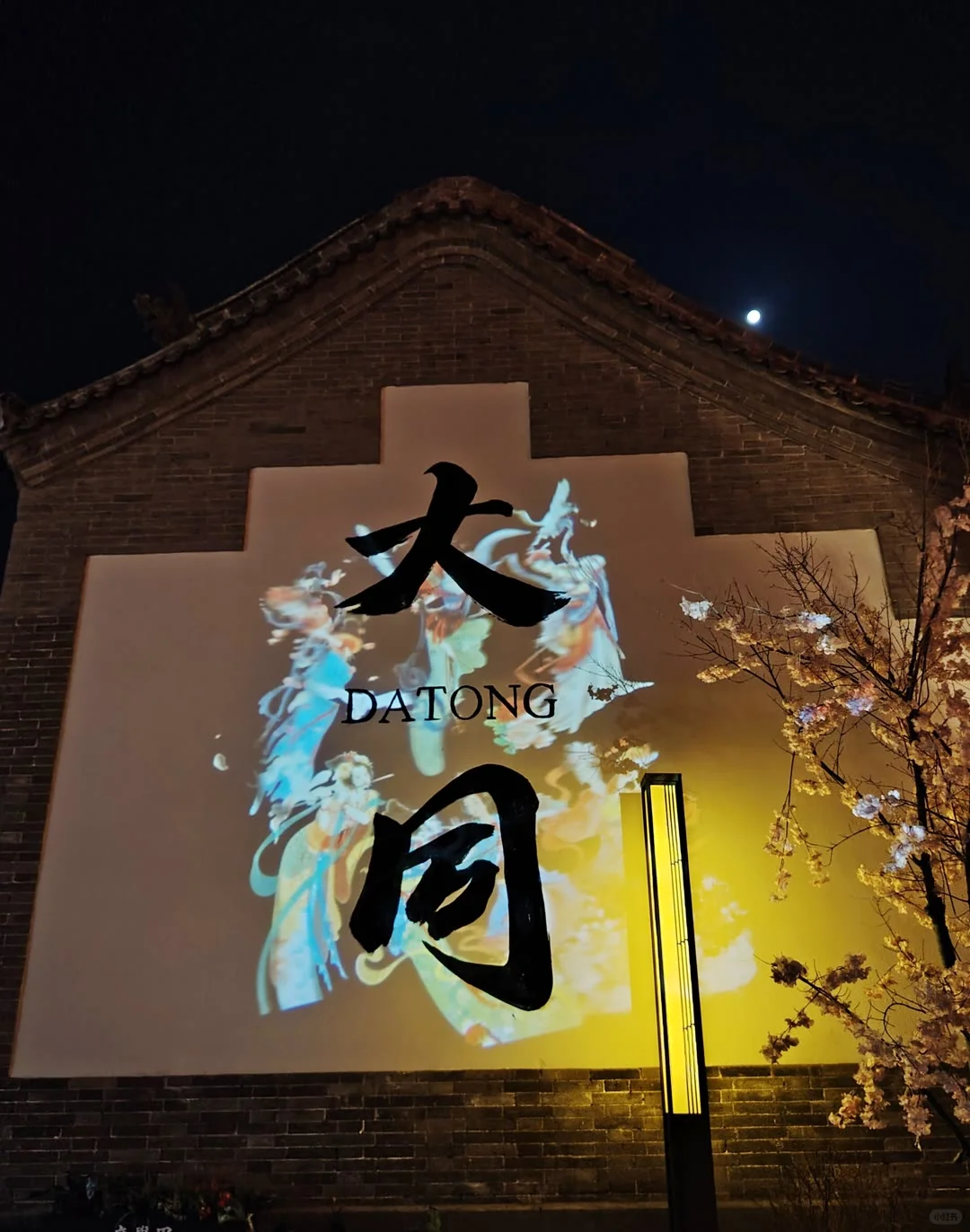 景区直达车来啦！