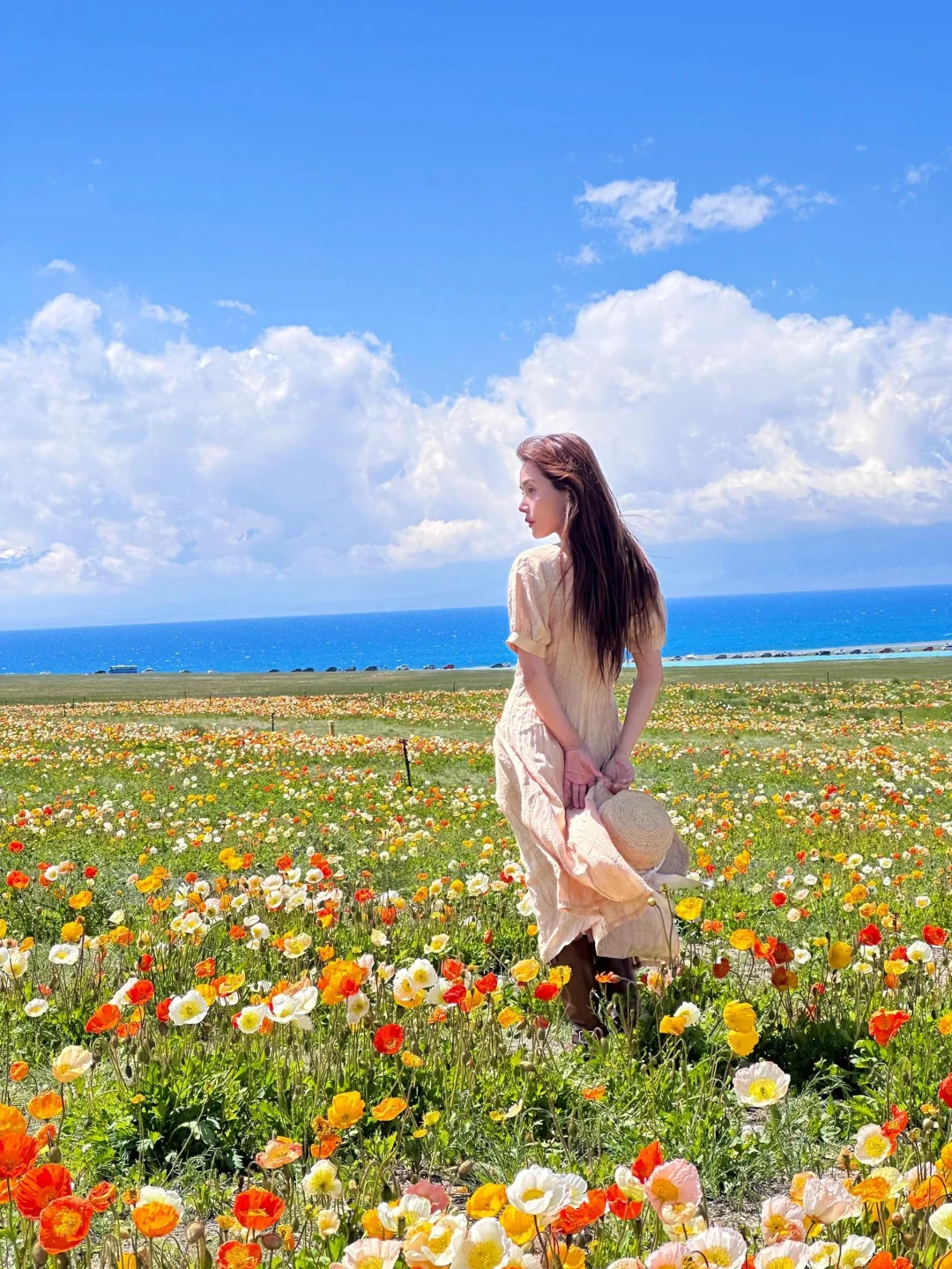 新疆血泪警告！不做这步哭晕在景区😭