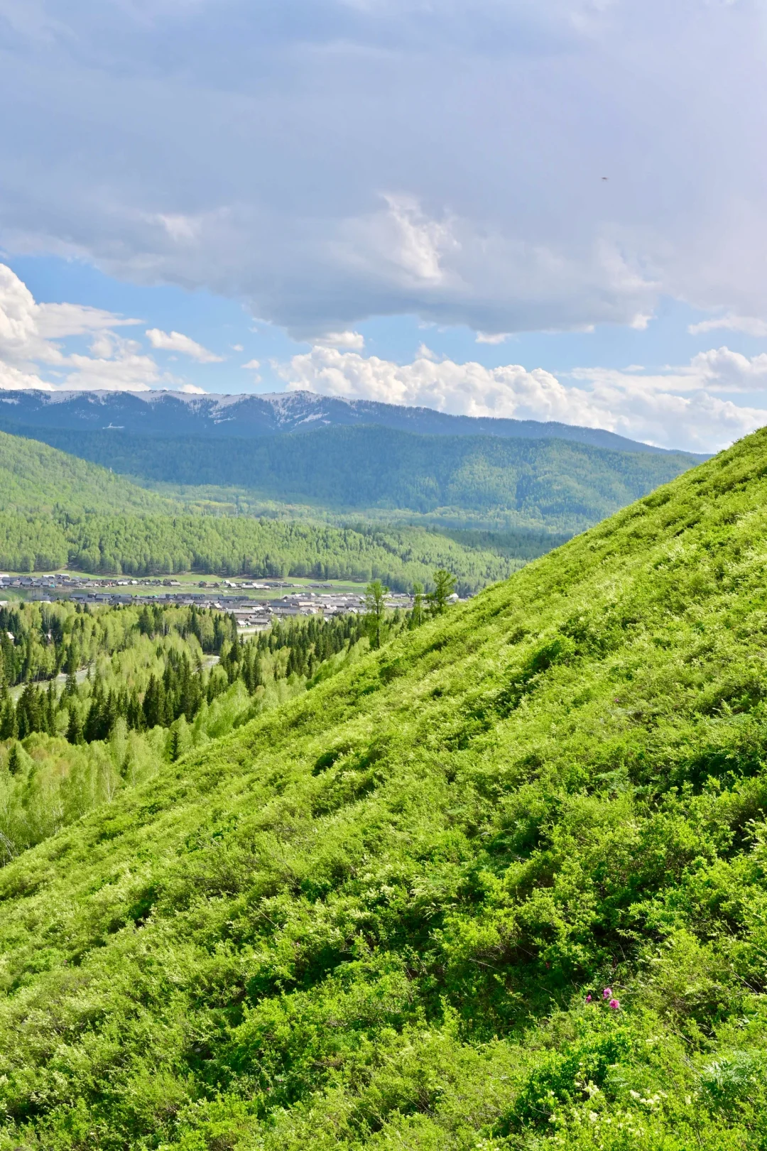 新疆北疆大环线旅游 02| 禾木村游玩攻略！
