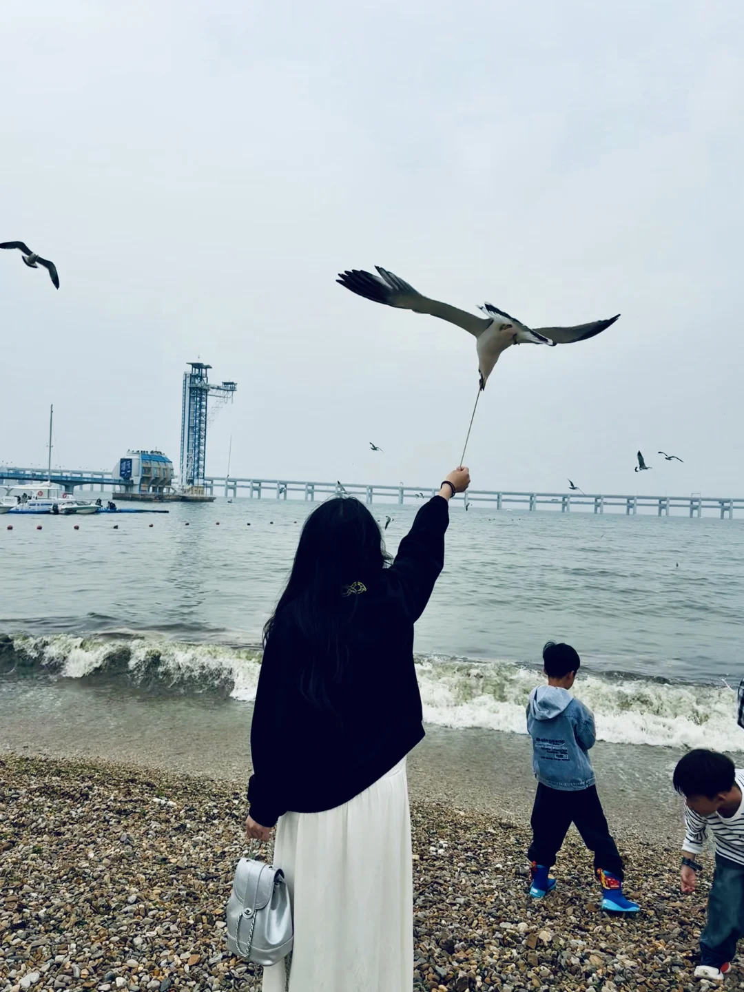 06女大大连旅游（超详细攻略版）