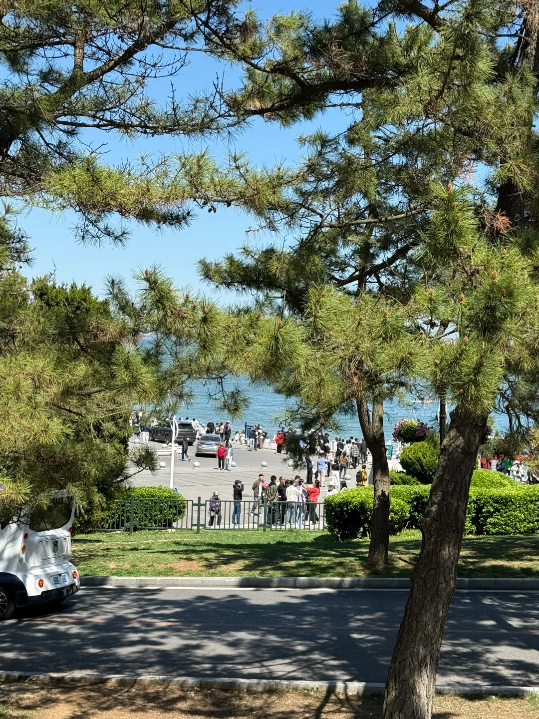 06女大大连旅游（超详细攻略版）