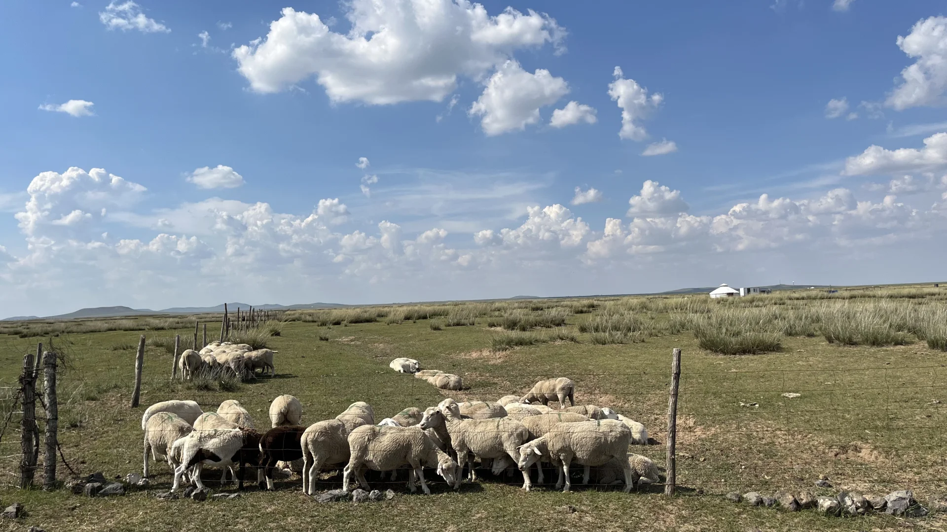 有人问正蓝旗的旅游攻略,也出来啦