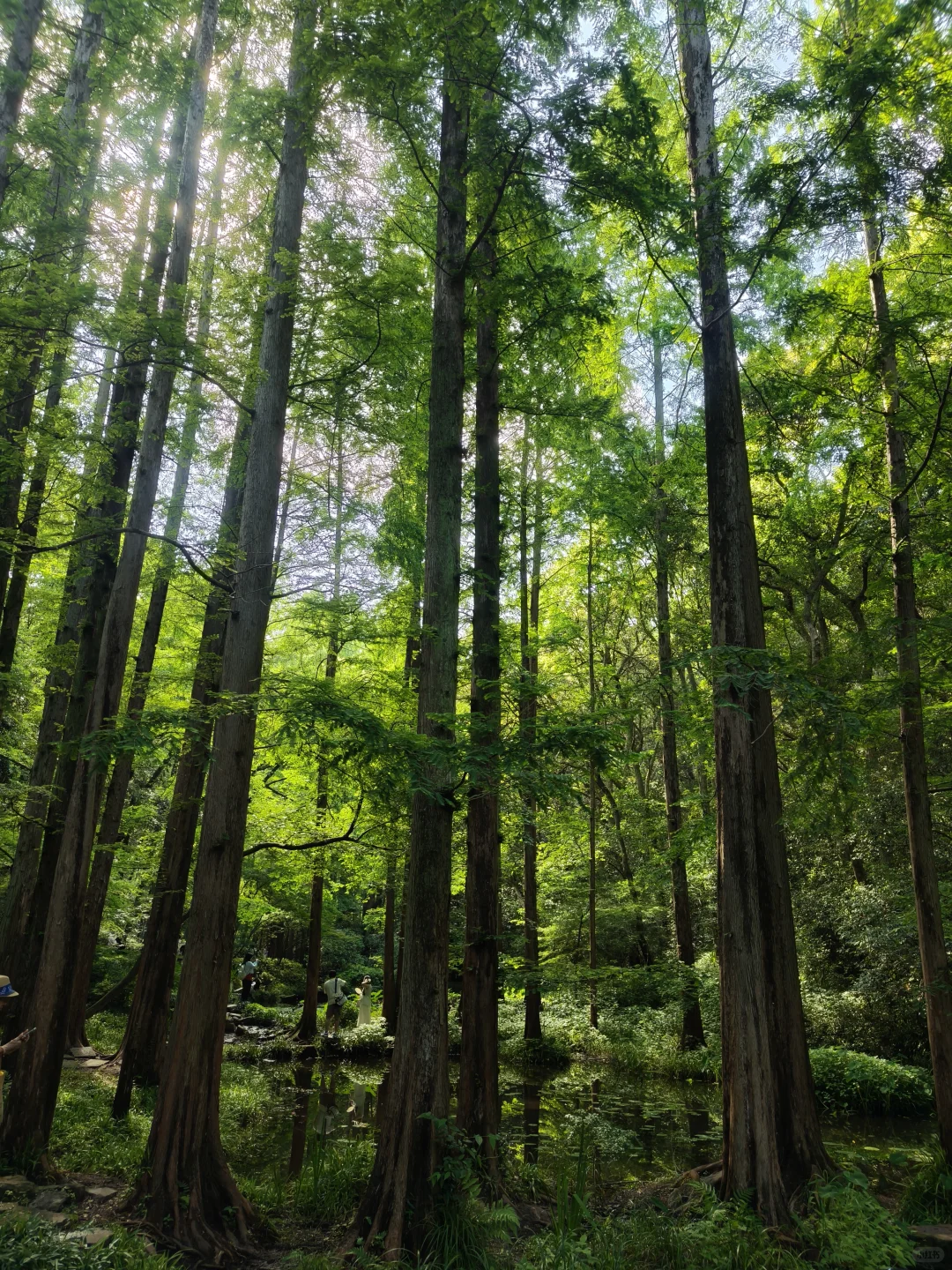 CP难民的藏剑技能打卡之旅(上)