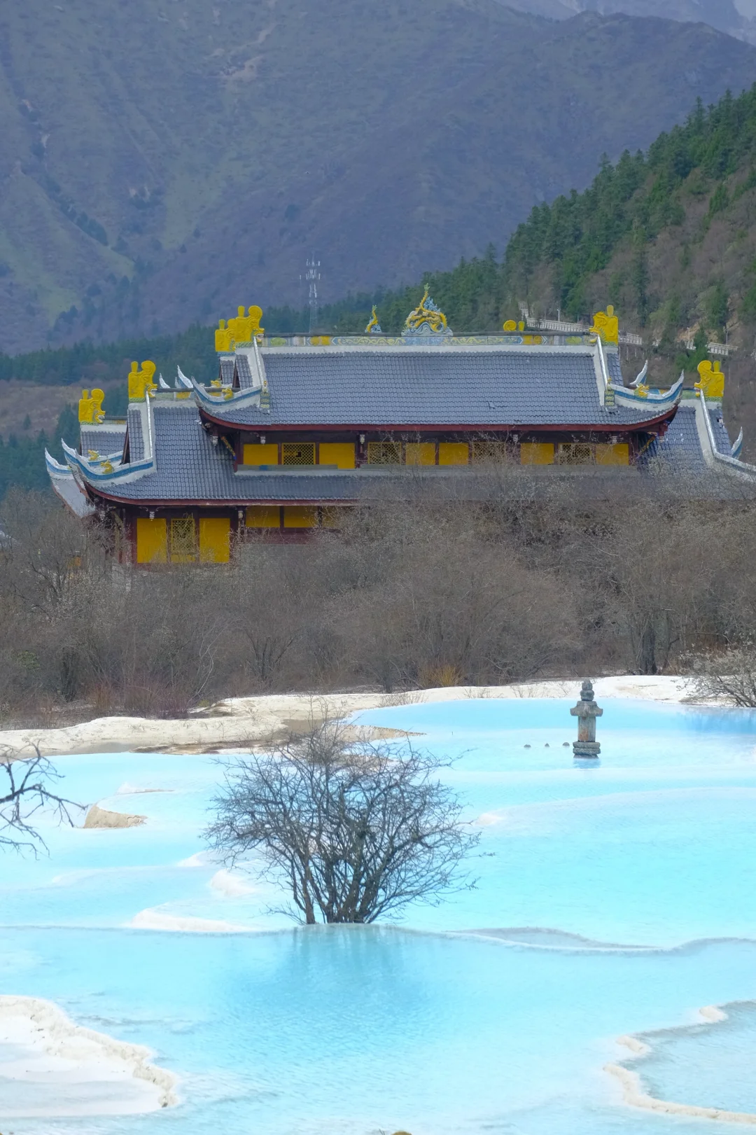 枯水期的黄龙真的不值得去吗