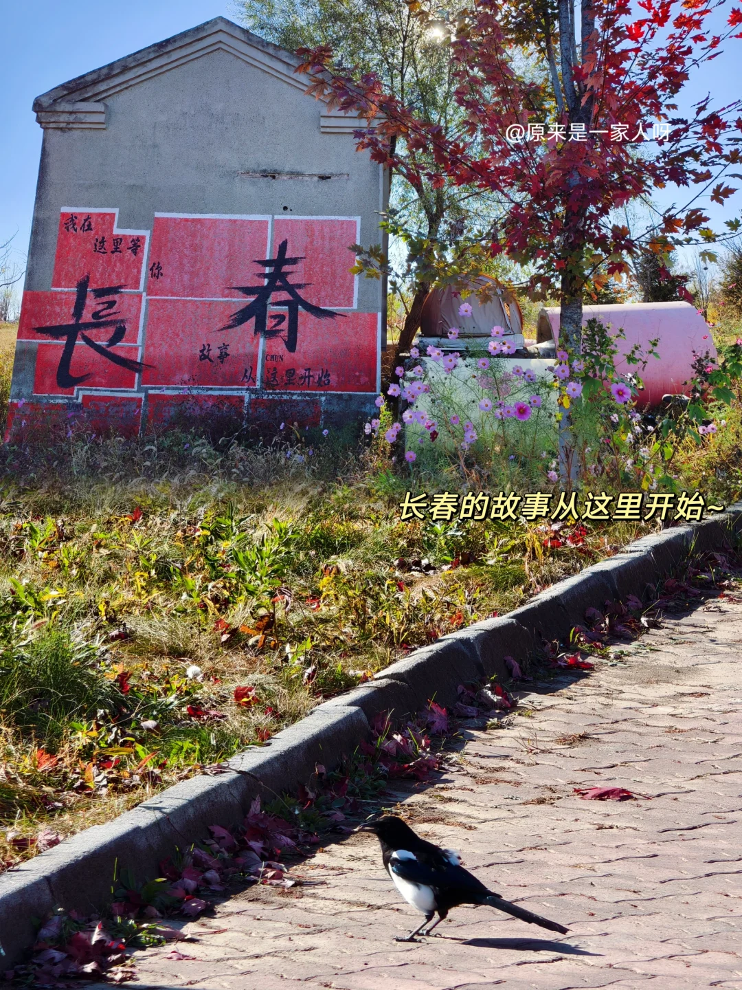 来长春必看！本地人给大家总结长春旅游防坑