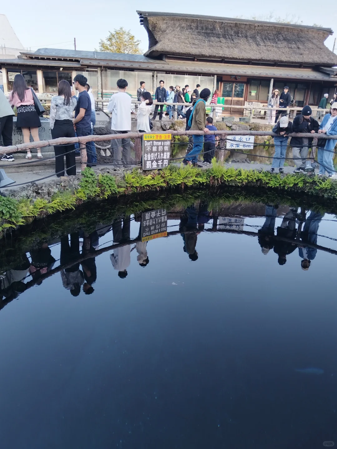 劝退富士山“三大坑人景点”