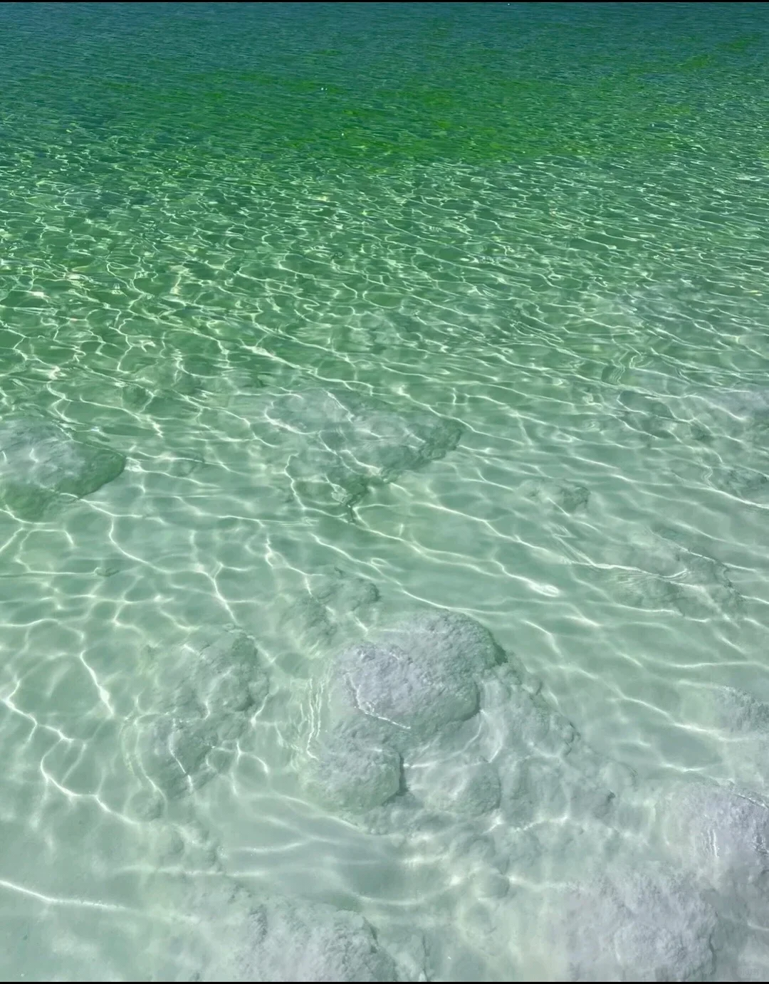 大西北！值哭了~