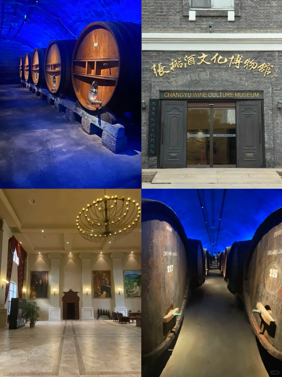 04女大📍烟台&养马岛｜两天一夜保姆详细攻略