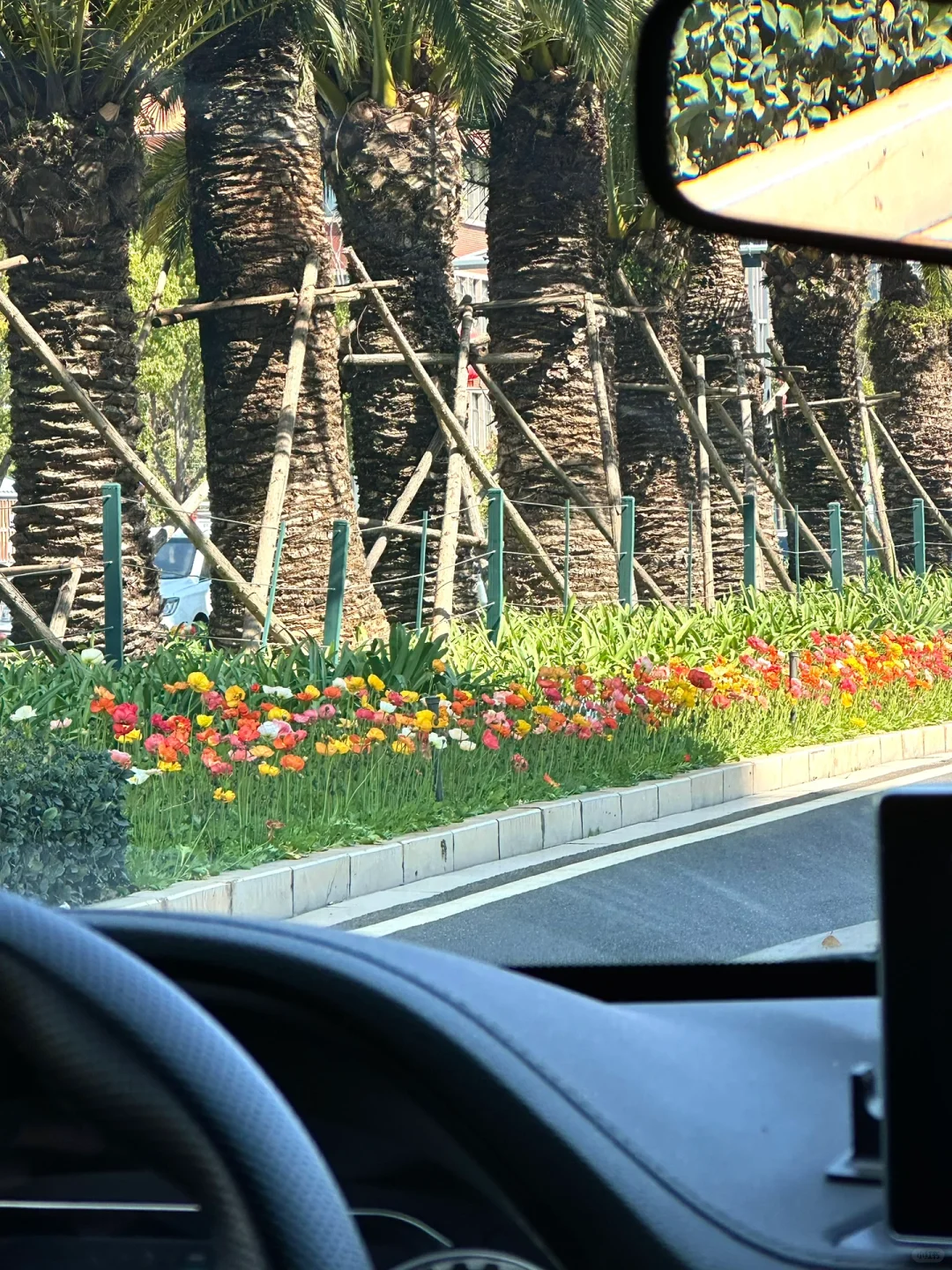 云南旅游攻略1️⃣济南➡️昆明-大理-丽江……