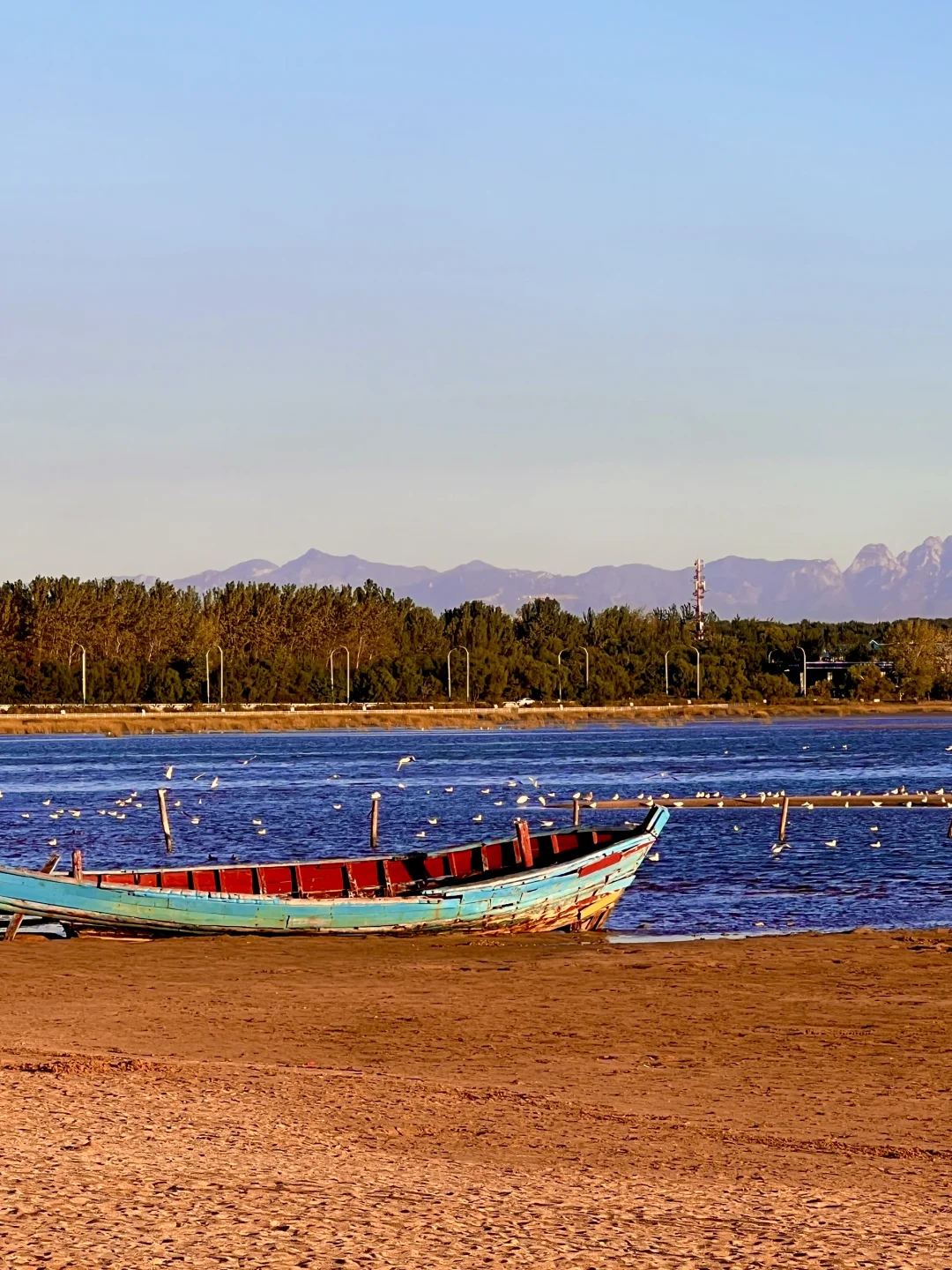 为了这❶❽张图，特意来了趟秦皇岛！附机位🩵
