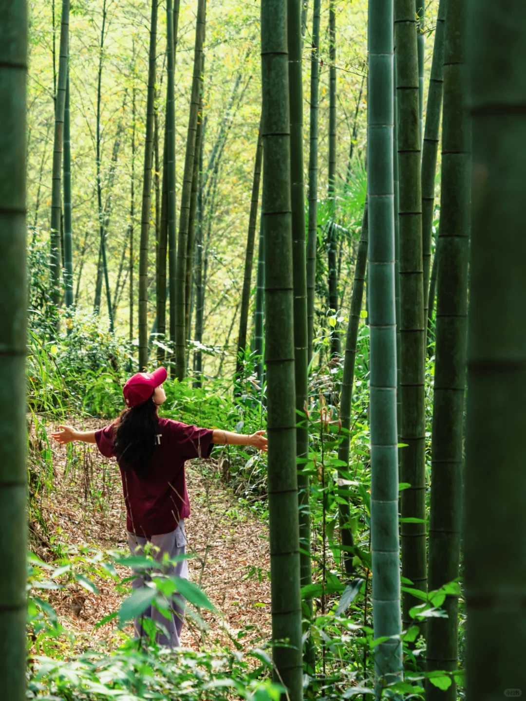 后悔才来赤水🥹隐藏了世界遗产的冷门小城