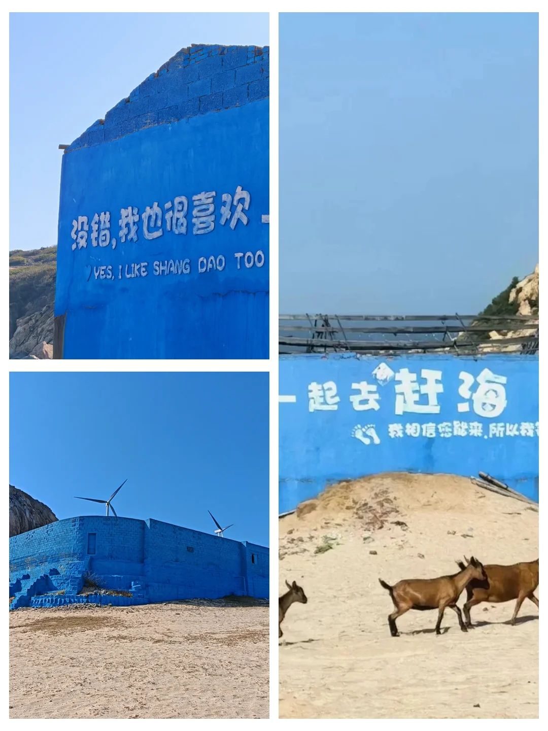 1条路线8个景点!快收藏,南日这条线路爆了