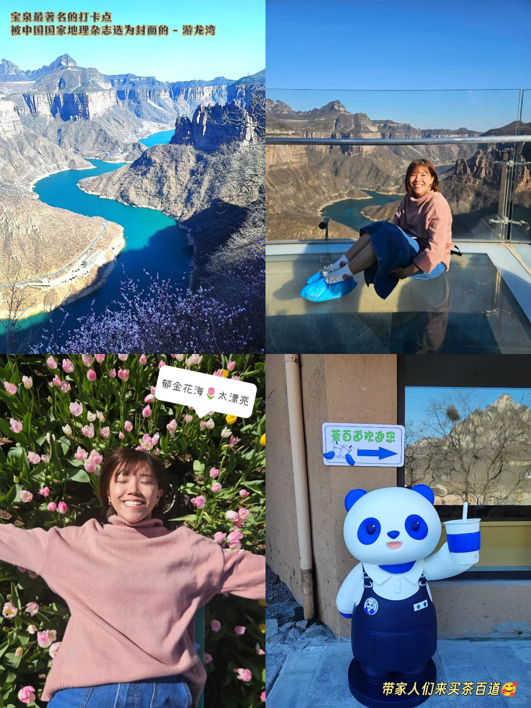 🇨🇳河南|赶快带长辈来旅游吧