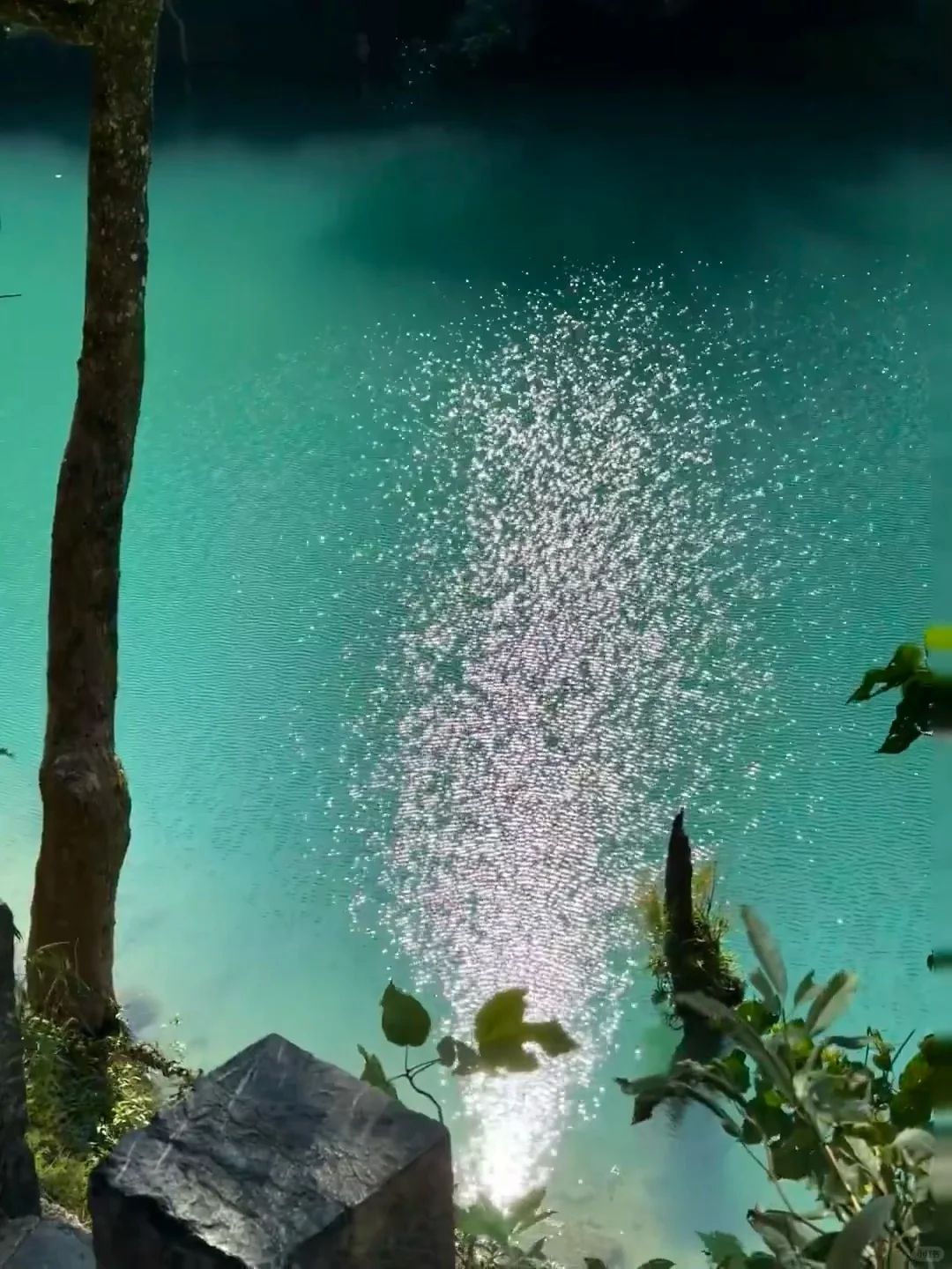 贵州三天两晚不废腿游玩攻略，赶快码住！