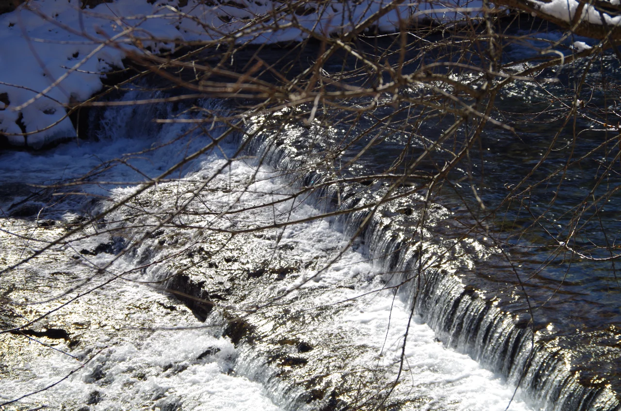 🚄2h直达!九寨高铁一日游保姆级攻略💎