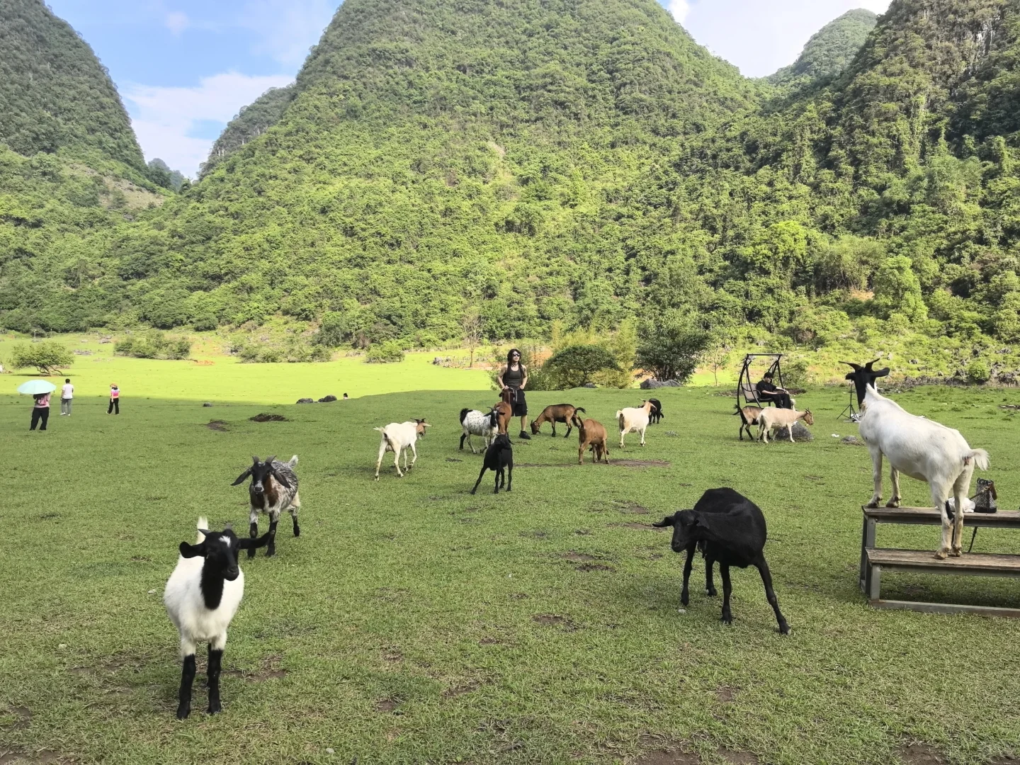 柳州四天三夜旅游攻略💰800r特种兵式旅游