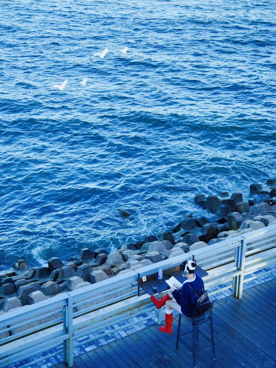 为了这❶❽张图，特意来了趟秦皇岛！附机位🩵