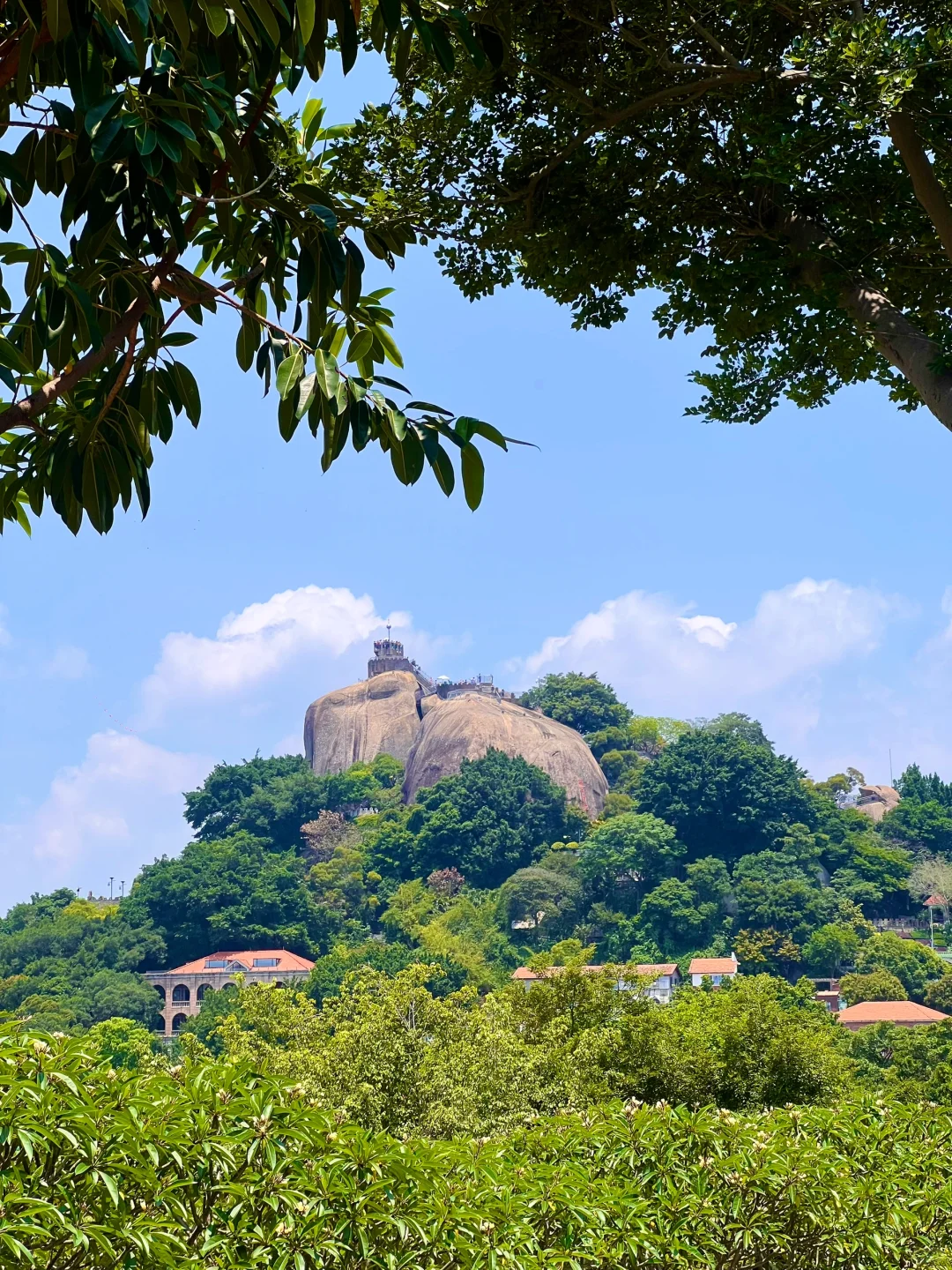 厦门旅游攻略｜鼓浪屿一日游攻略