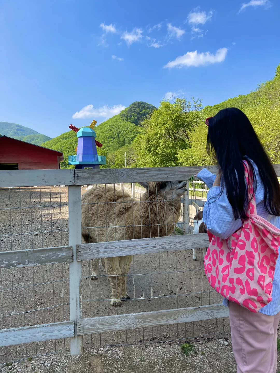 辽宁省内游｜超好玩的宝藏景区📷拍照巨出片