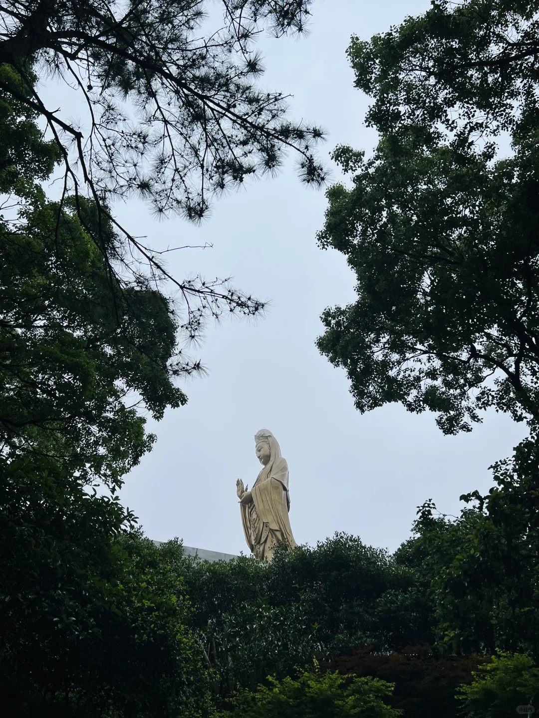 第一次来普陀山旅游攻略📣📣📣