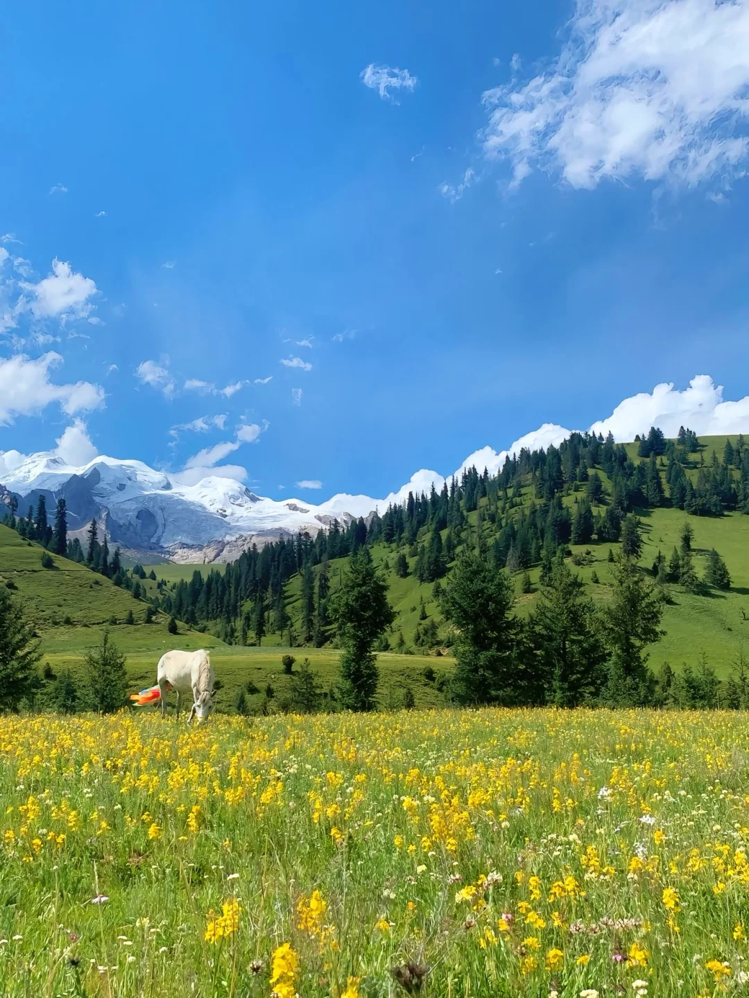 格聂南线。。。果然最漂亮的地方都是免费的！！