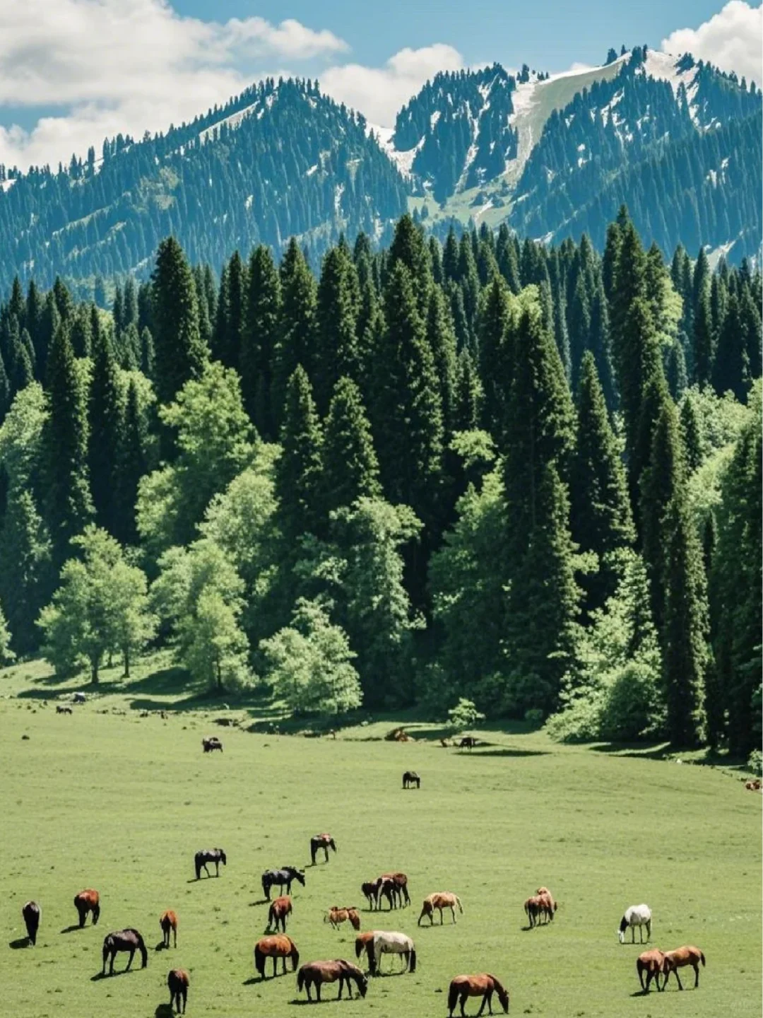 新疆旅游后劲太大了😭听听我的真实感受！