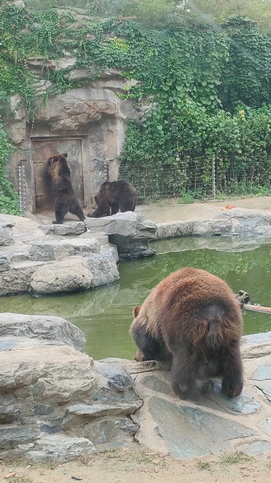 北京5天速通攻略，不早起暴走版(含升旗