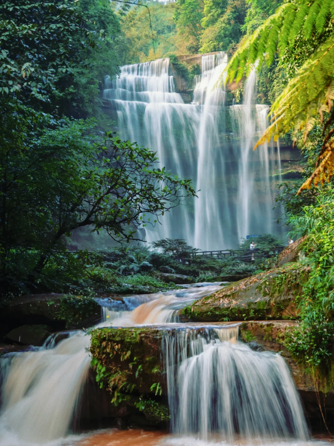 后悔才来赤水🥹隐藏了世界遗产的冷门小城