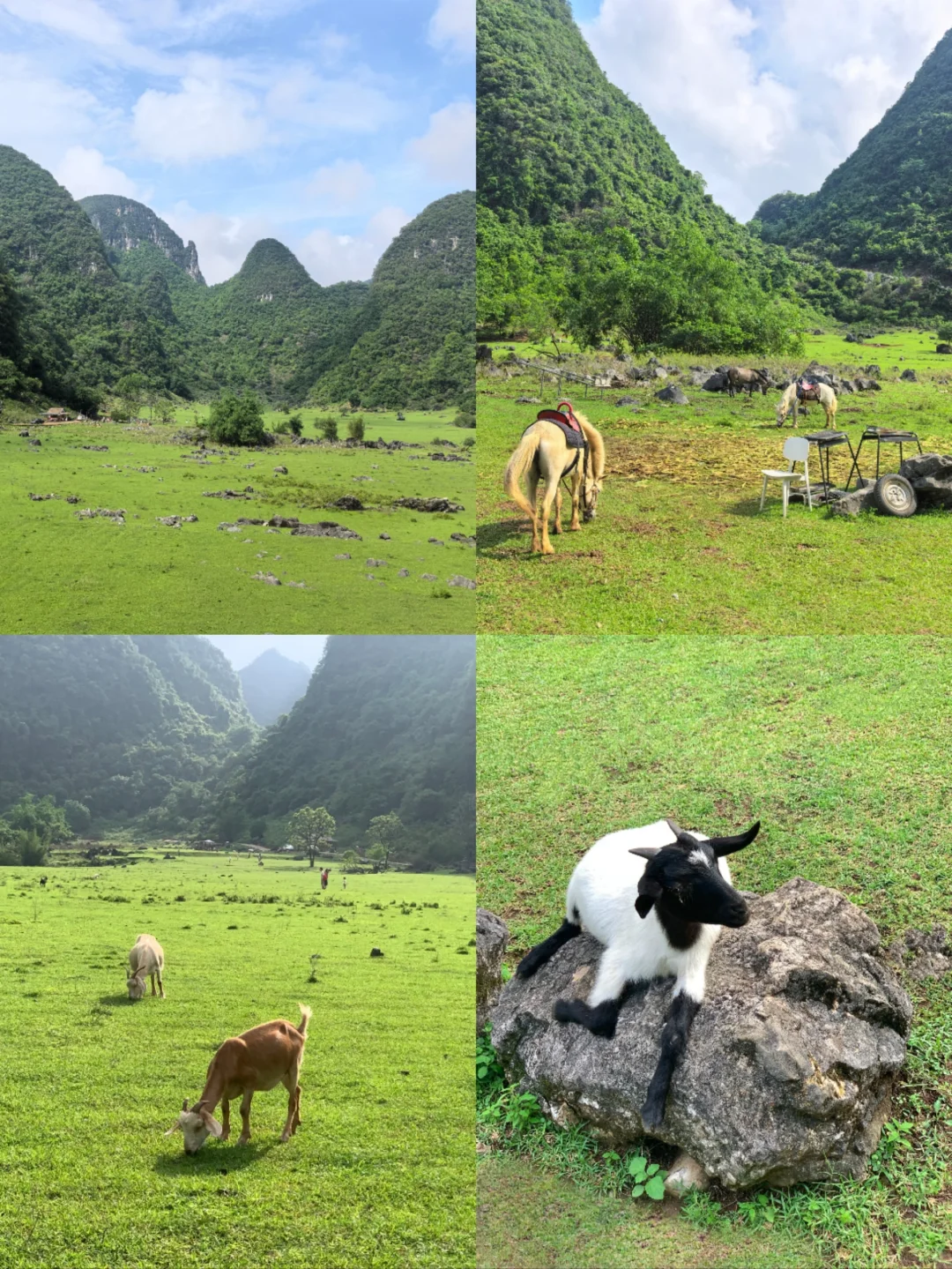 柳州四天三夜旅游攻略💰800r特种兵式旅游