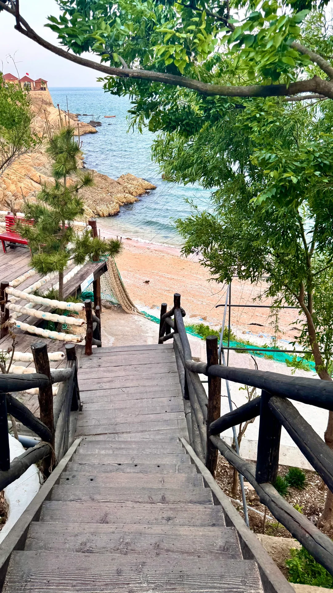 河北到山东三日自驾游🤩威海➕淄博➕济南