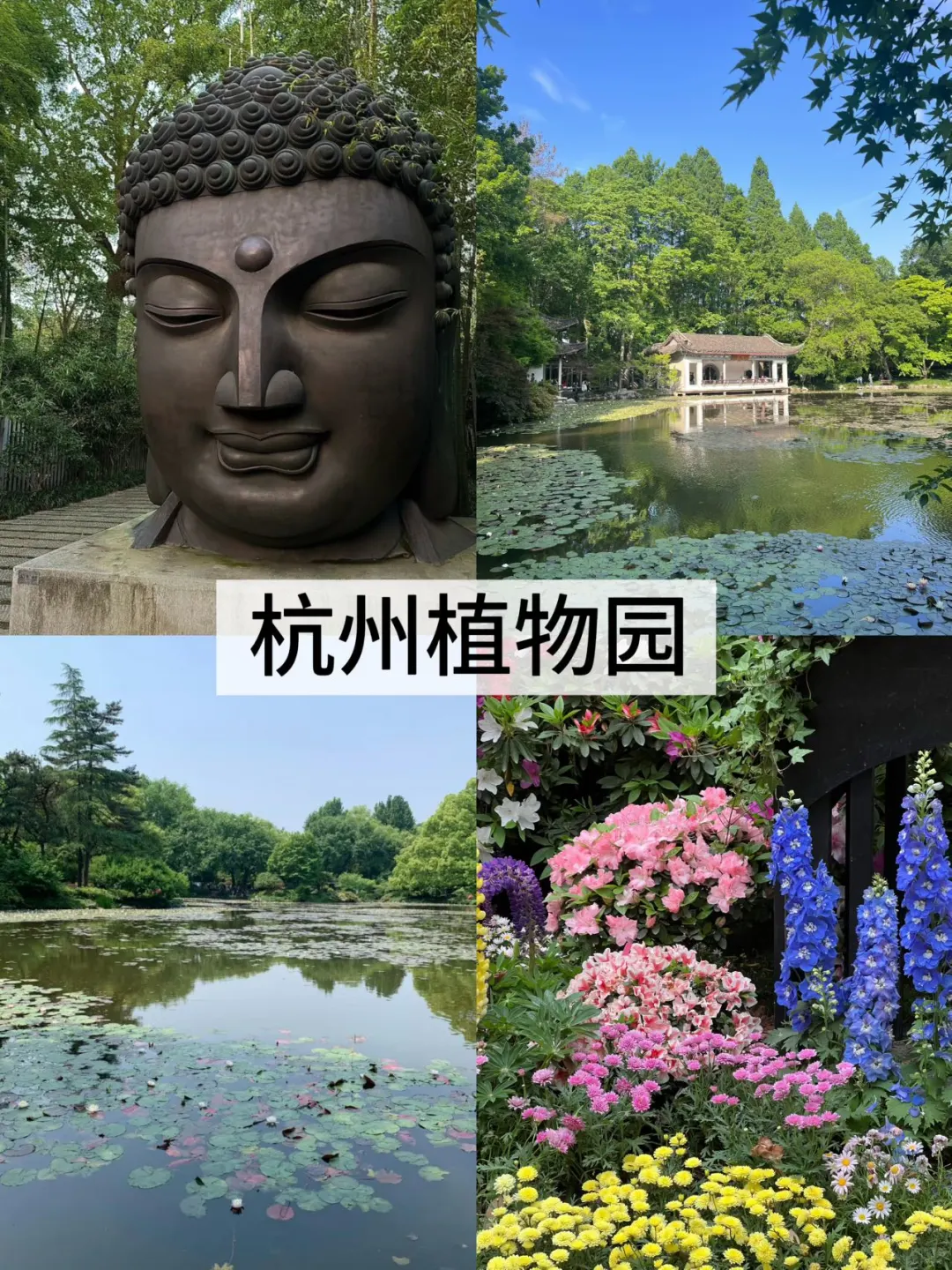 来西湖必去的8️⃣大景点（不踩雷版）！