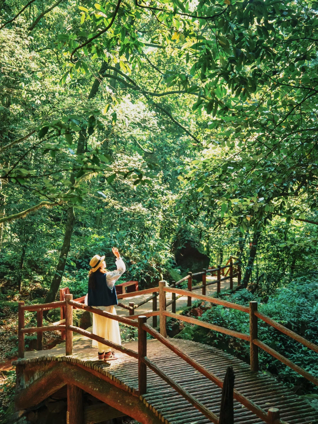 后悔才来赤水🥹隐藏了世界遗产的冷门小城