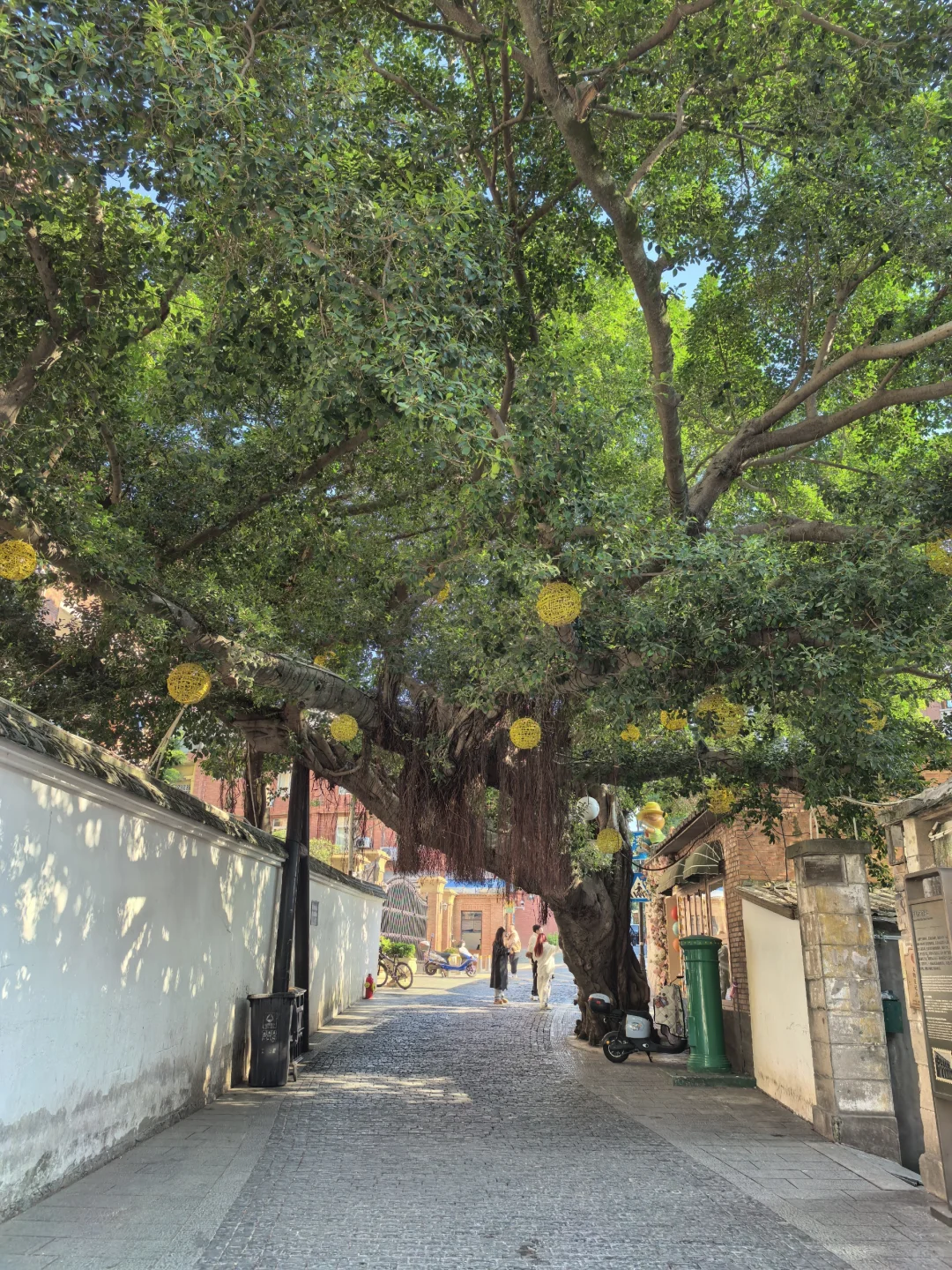 福州Citywalk最舒服的路线❗️