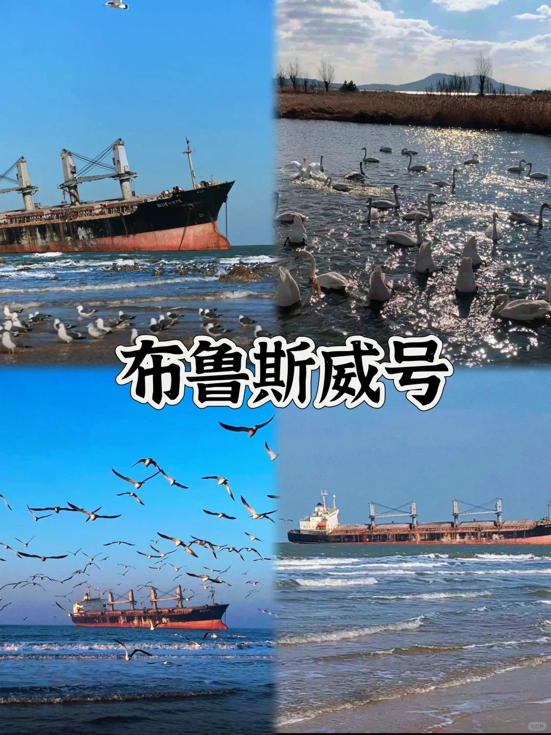 来青岛旅游，这九个景点可不要错过了