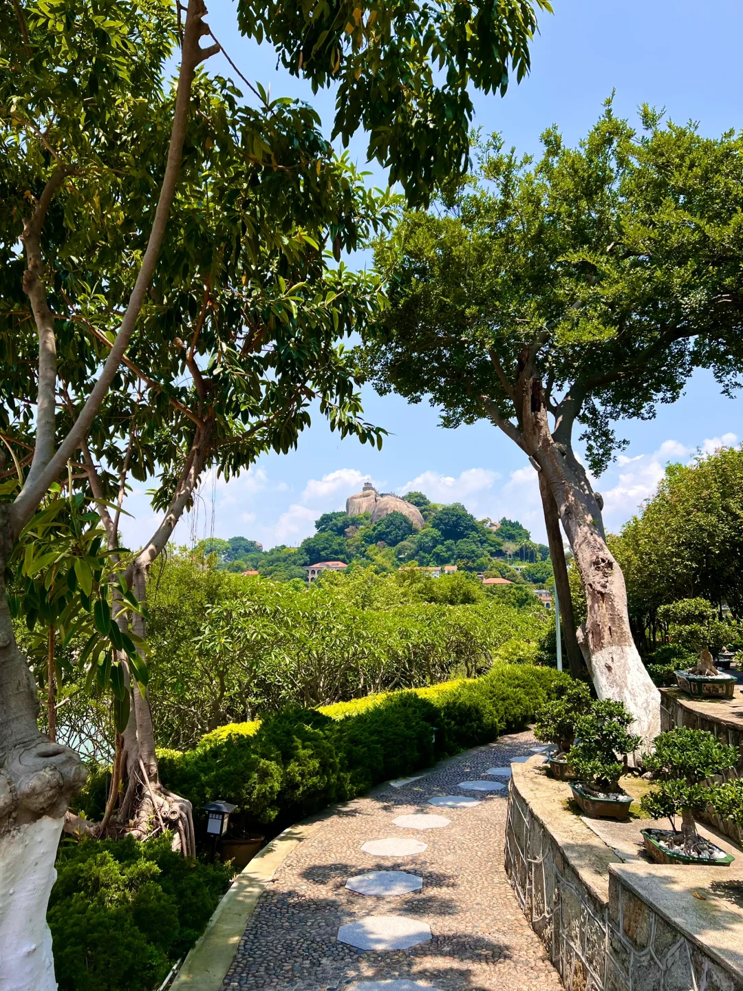 厦门旅游攻略｜鼓浪屿一日游攻略