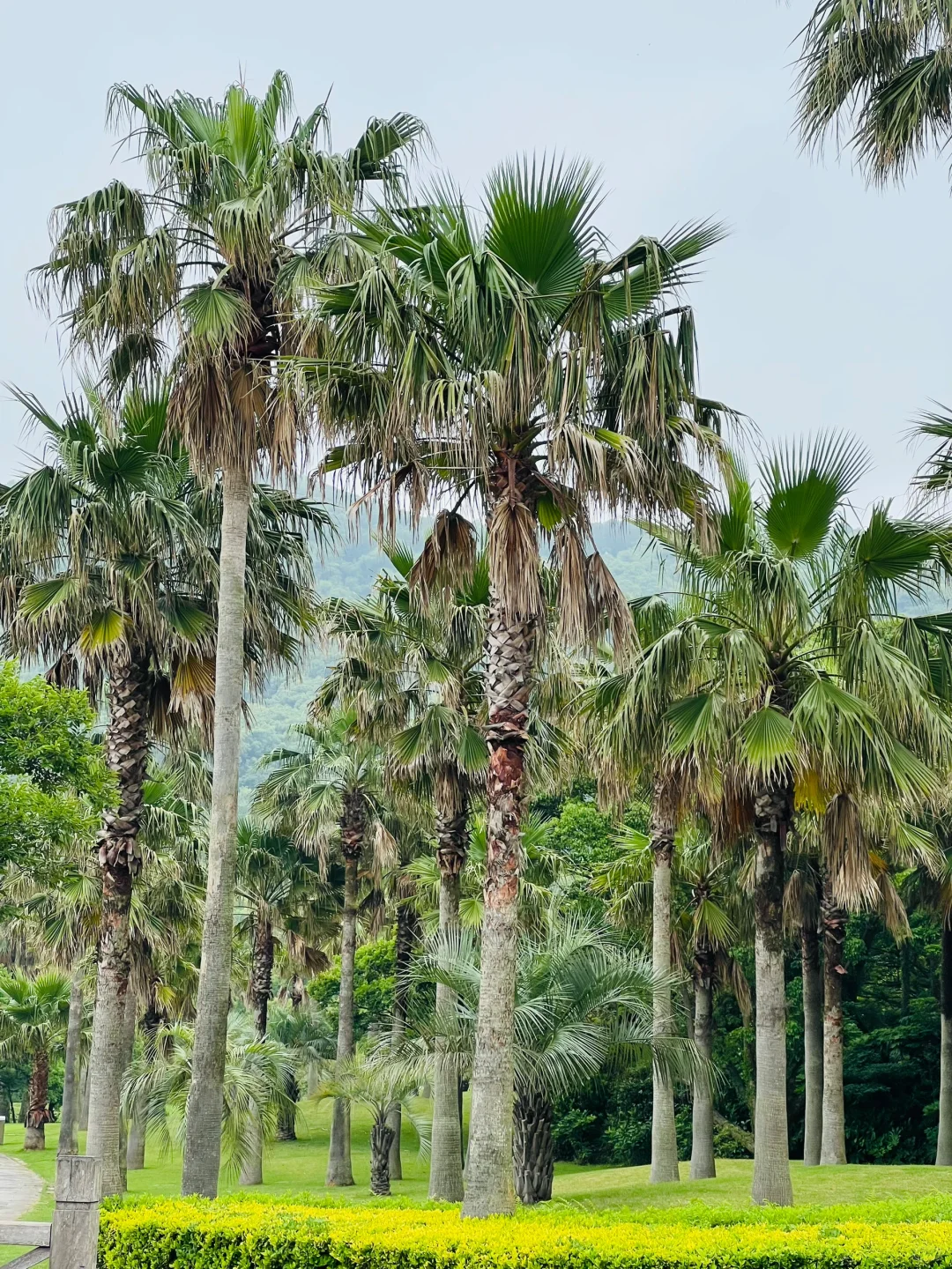 第一次来普陀山旅游攻略📣📣📣