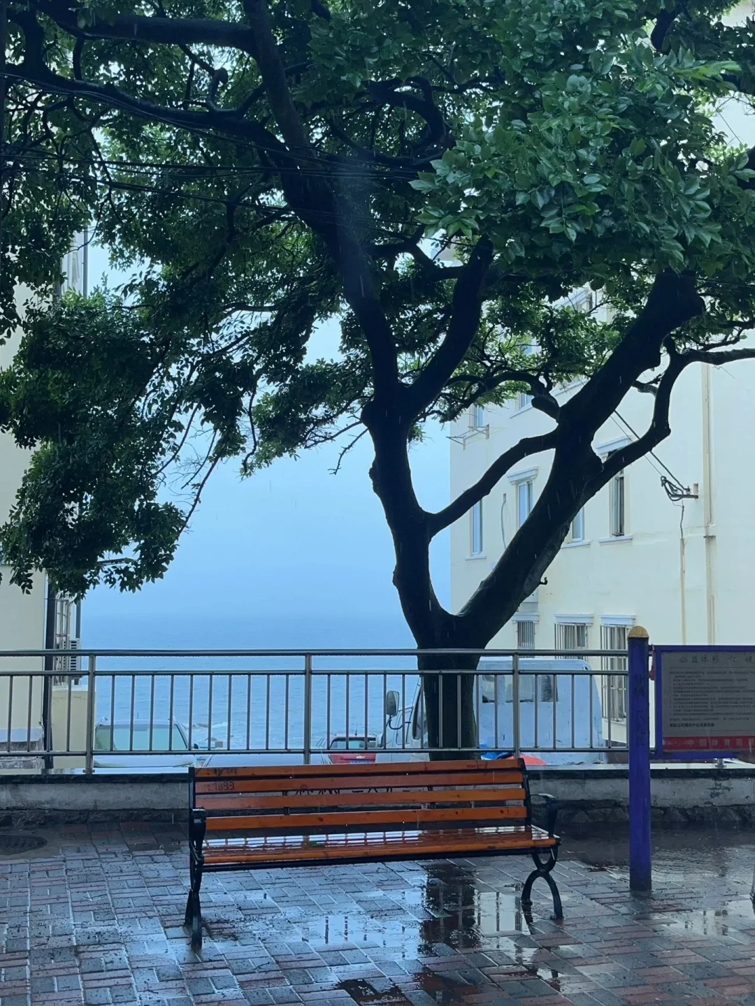 5月的青岛太好玩了！(三天两夜旅游攻略)