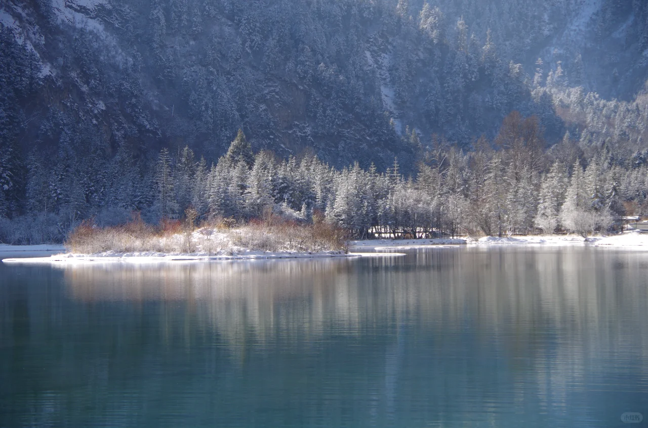 🚄2h直达!九寨高铁一日游保姆级攻略💎