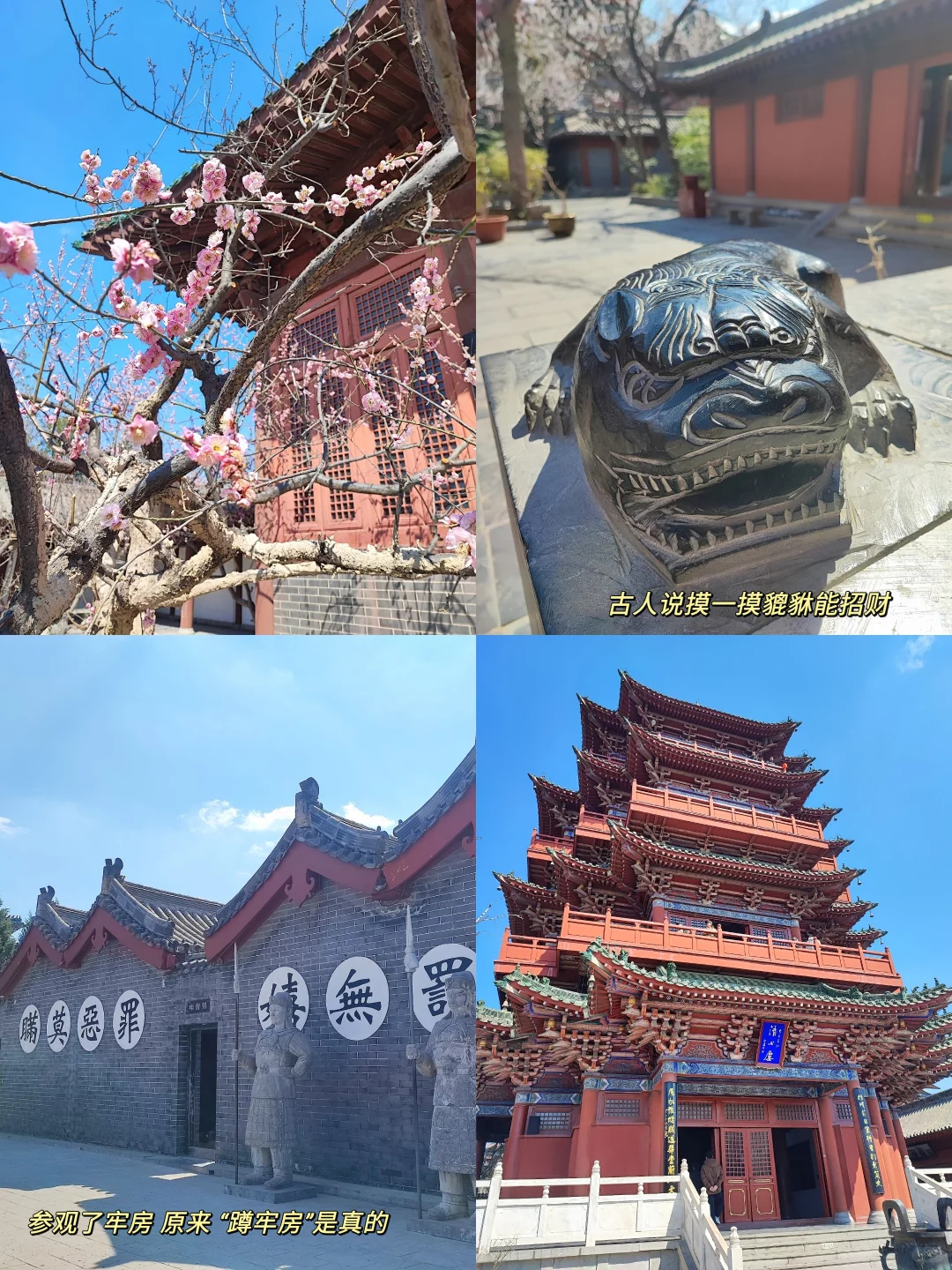 🇨🇳河南|赶快带长辈来旅游吧