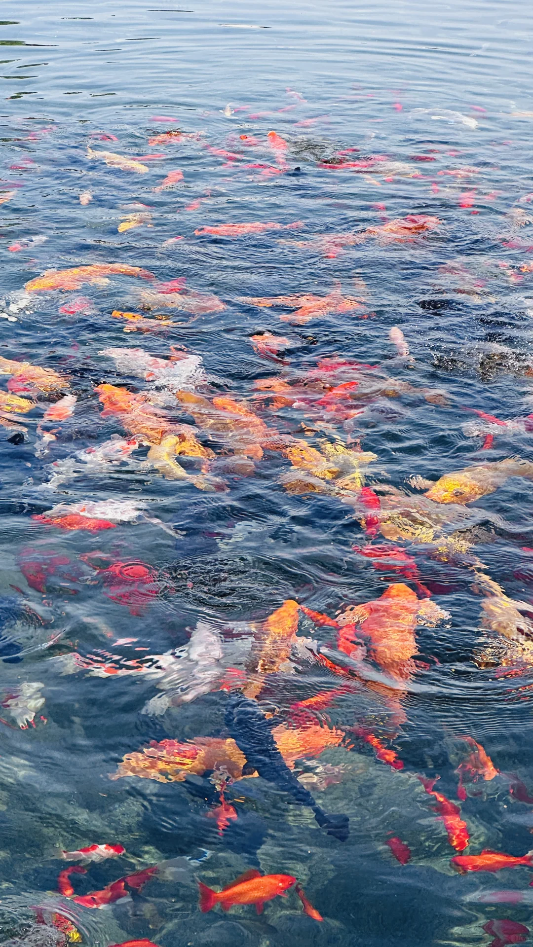 安阳周边！宝藏小众景点！超好玩！