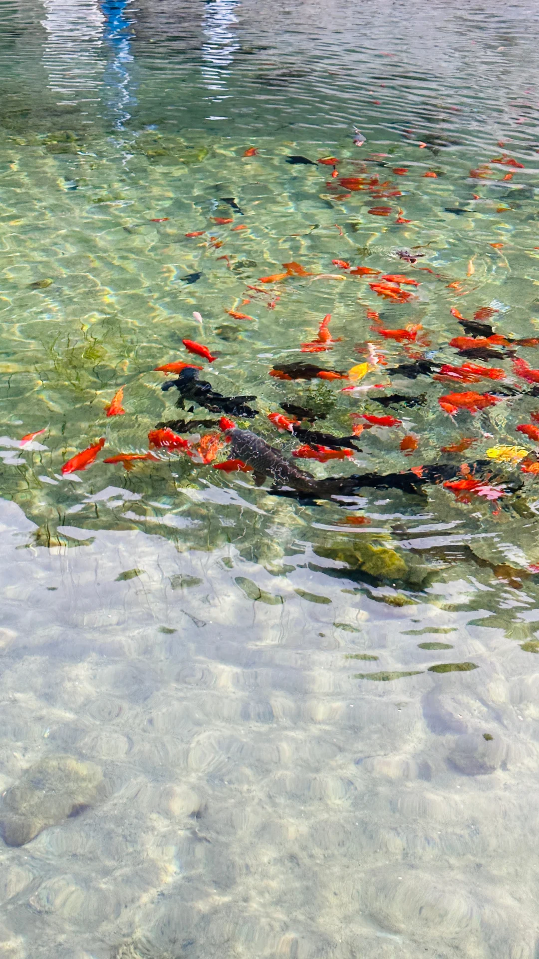 安阳周边！宝藏小众景点！超好玩！