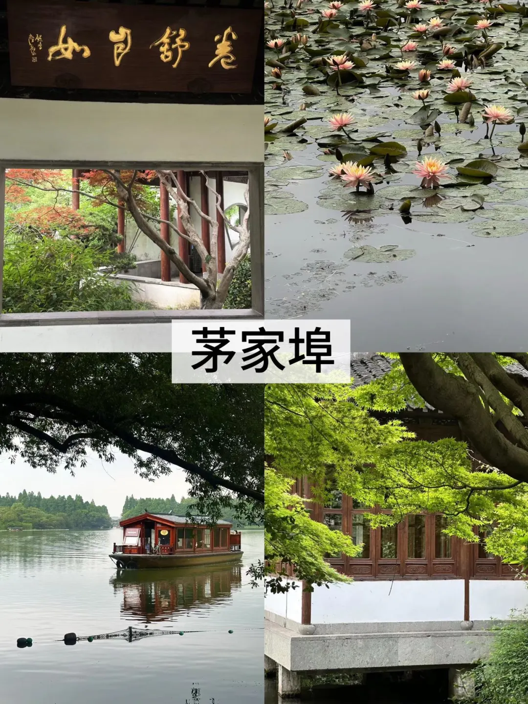 来西湖必去的8️⃣大景点（不踩雷版）！