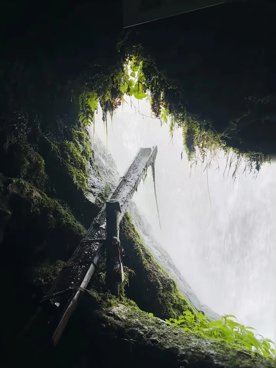 贵州三天两晚不废腿游玩攻略，赶快码住！
