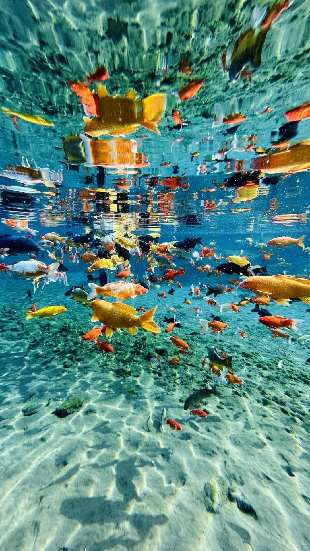 安阳周边！宝藏小众景点！超好玩！