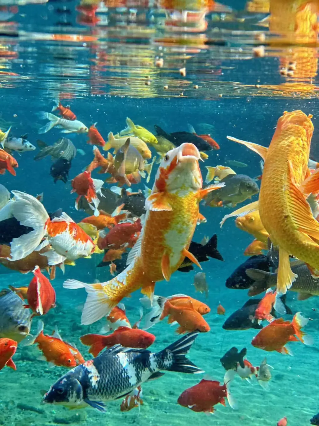 安阳周边！宝藏小众景点！超好玩！