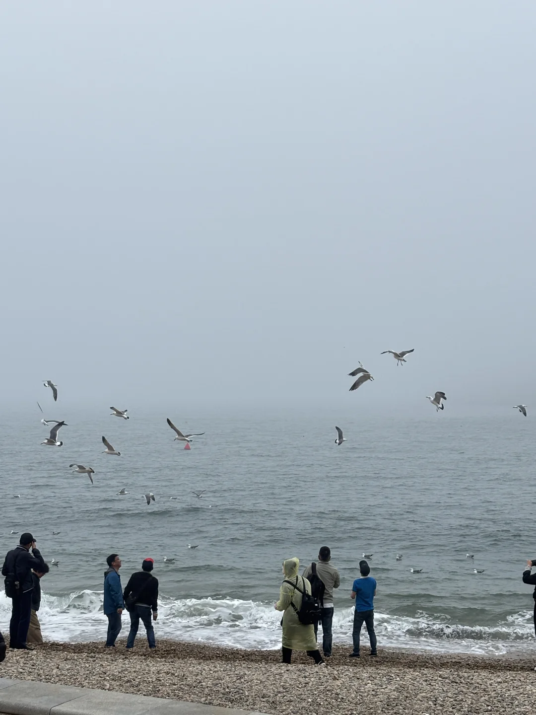 大连三天两夜拍照打卡旅游攻略