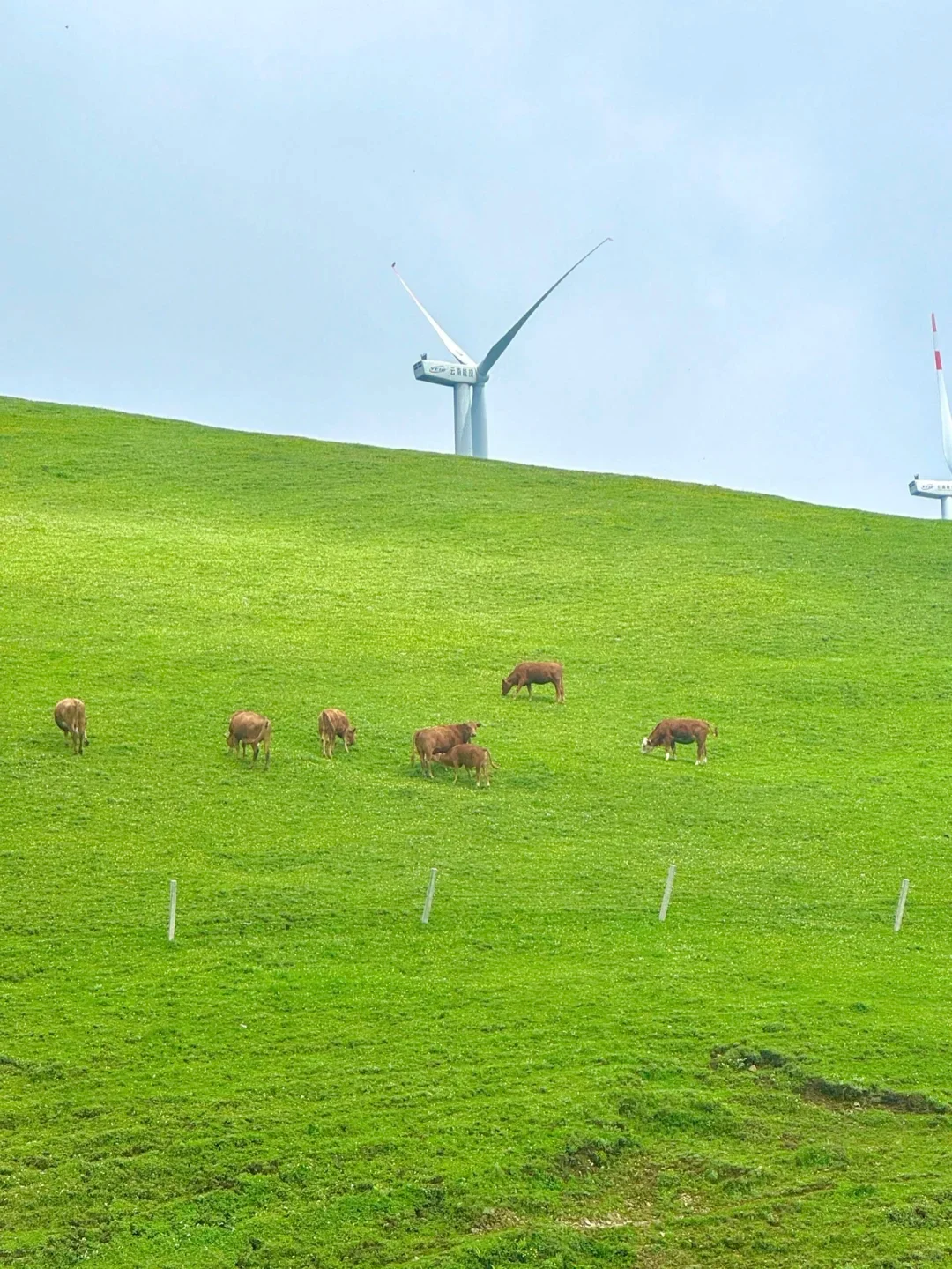 谁懂啊…来赤峰真的不想走😭赤峰旅游攻略