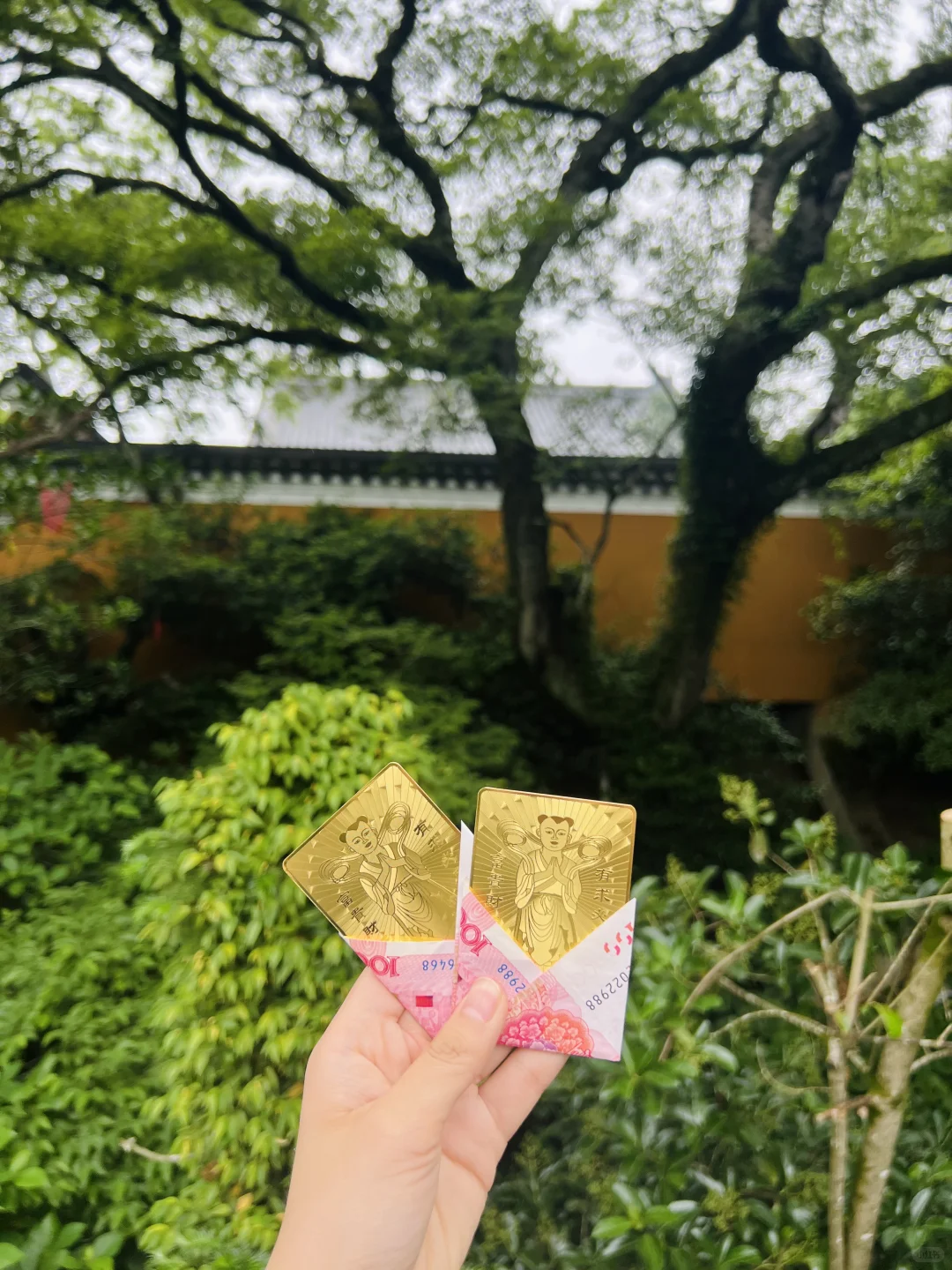 第一次来普陀山旅游攻略📣📣📣